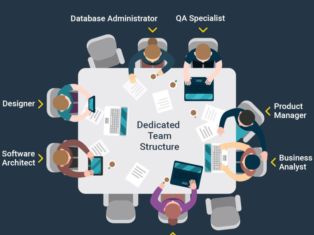 Structure of a Dedicated Software Development Team 